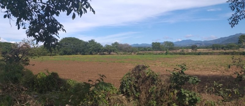Terreno La Desembocada - Puerto Vallarta